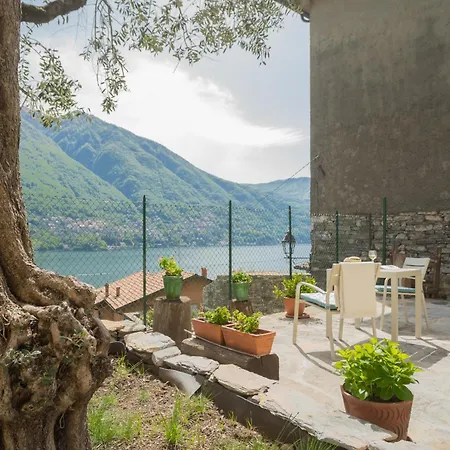 Appartamento La Quiete With Private Garden By Rent *